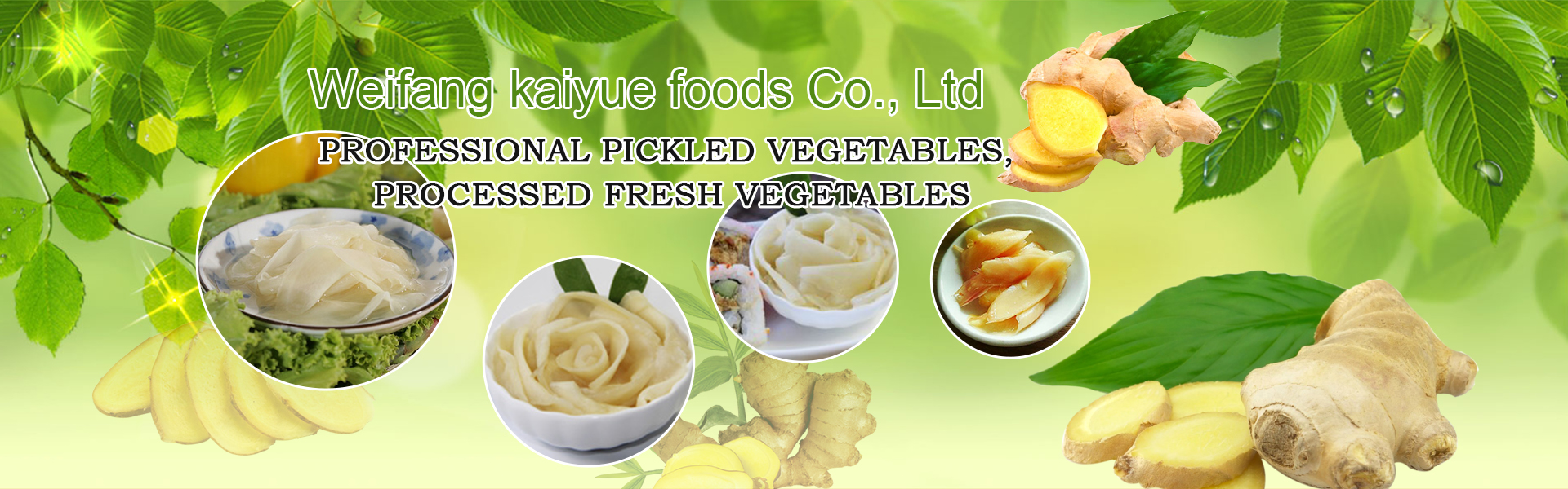 Weifang kaiyue foods Co., Ltd